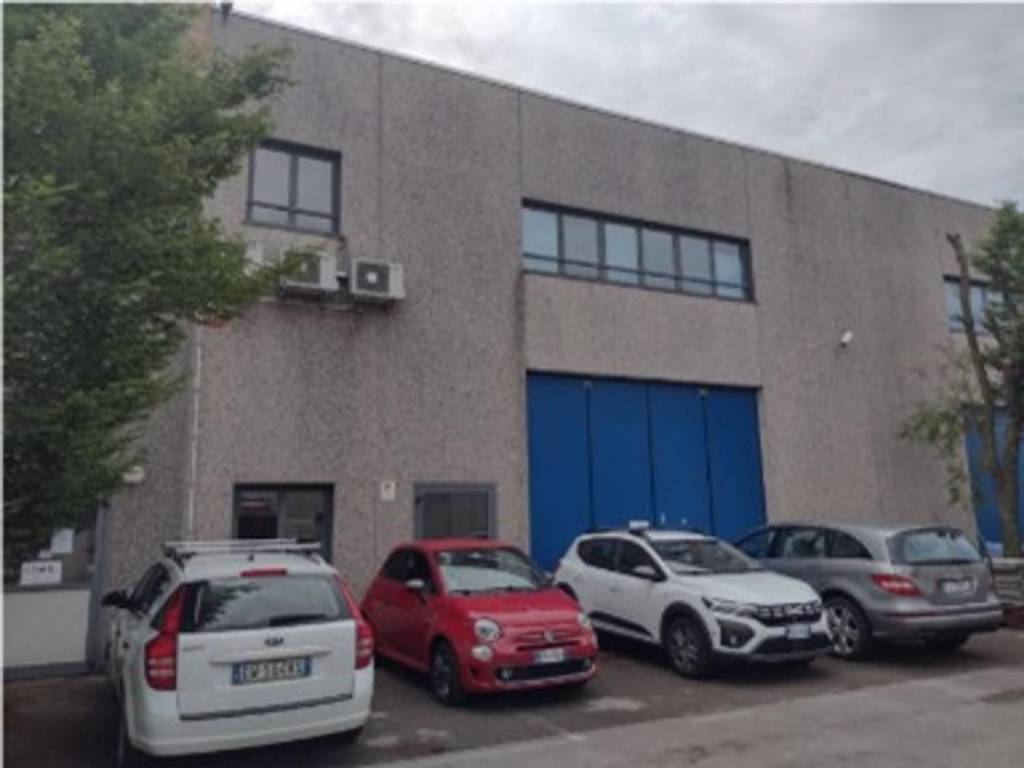 immagine di copertina