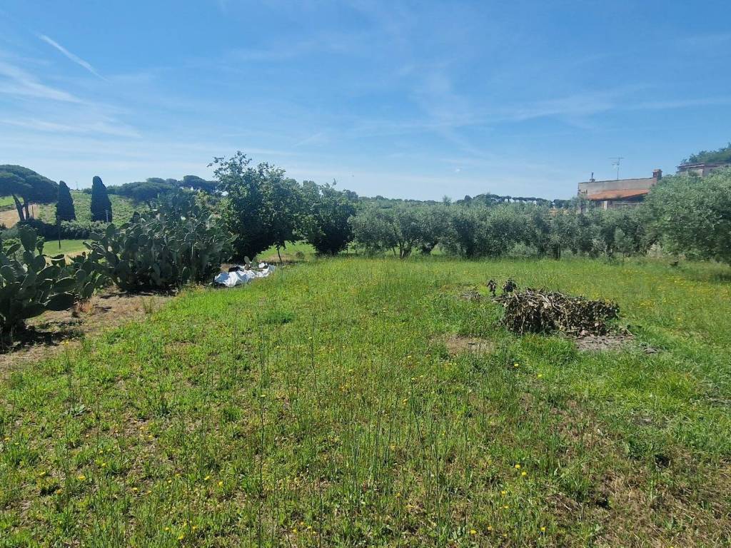 Terreno a Albano laziale in Strada Provinciale Cancelliera - Foto 4