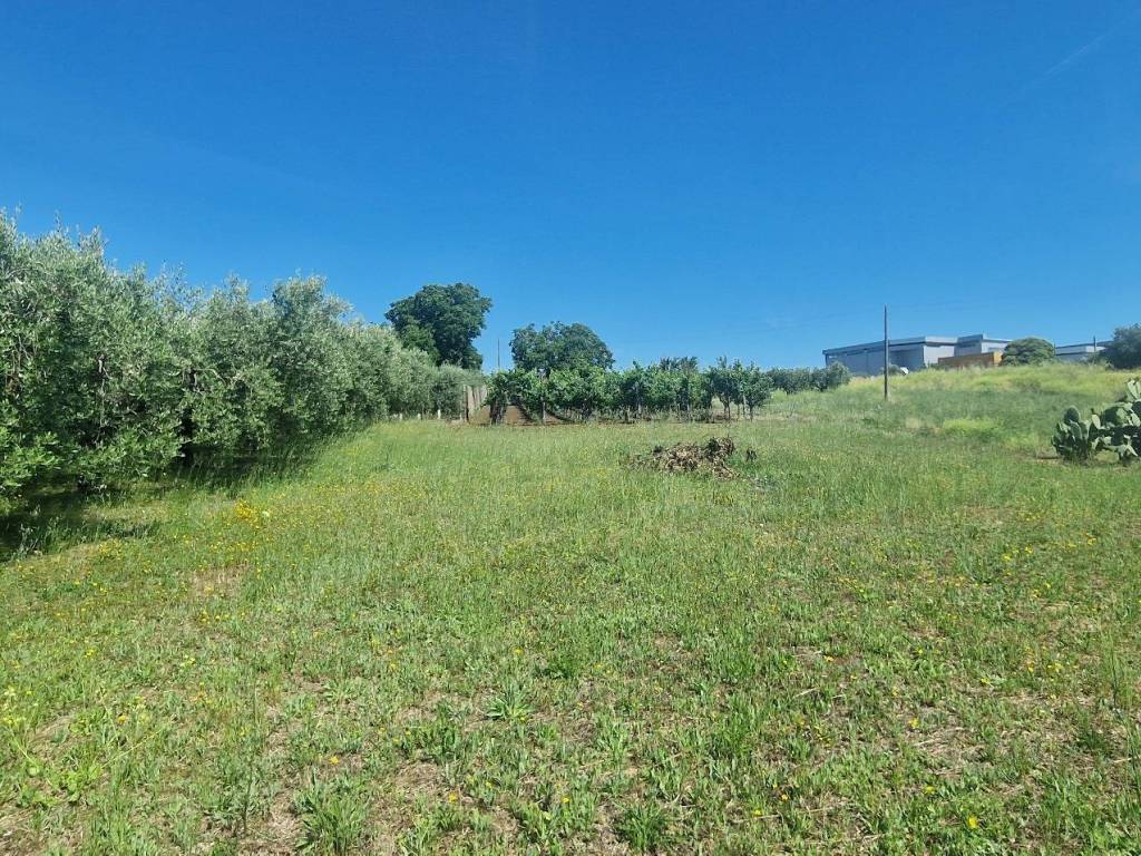 Terreno a Albano laziale in Strada Provinciale Cancelliera - Foto 5