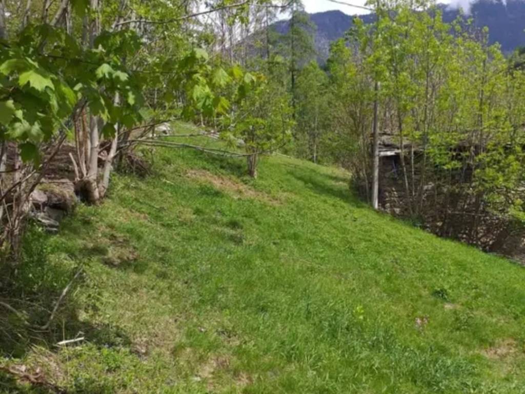 Rustico / casale a Torre di santa maria in Via Luna - Foto 2