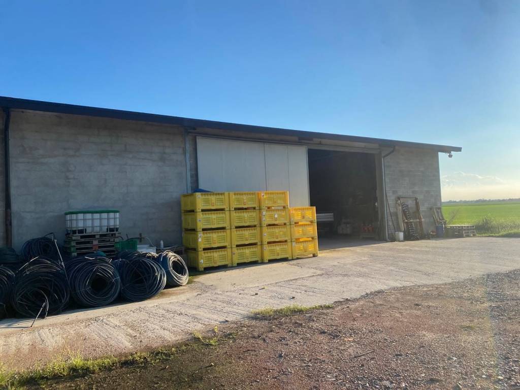 Immobile a Argenta in Strada del Trombone - Foto 3