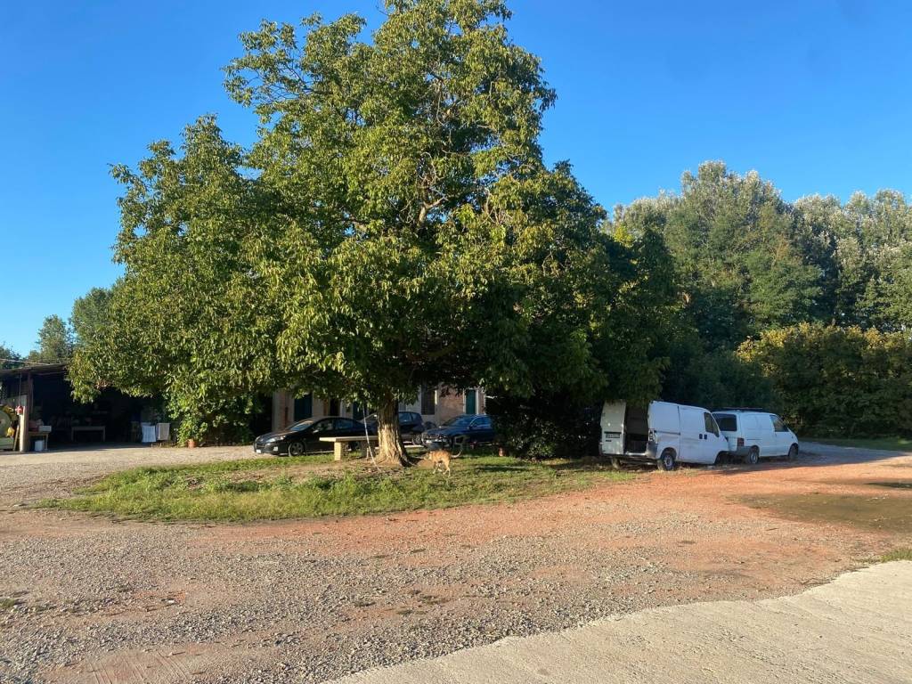 Immobile a Argenta in Strada del Trombone - Foto 5