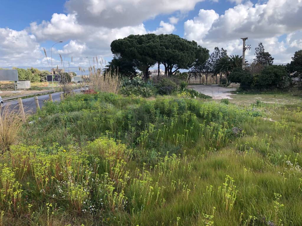 Terreno a Vittoria in Via circonvallazione - Foto 4