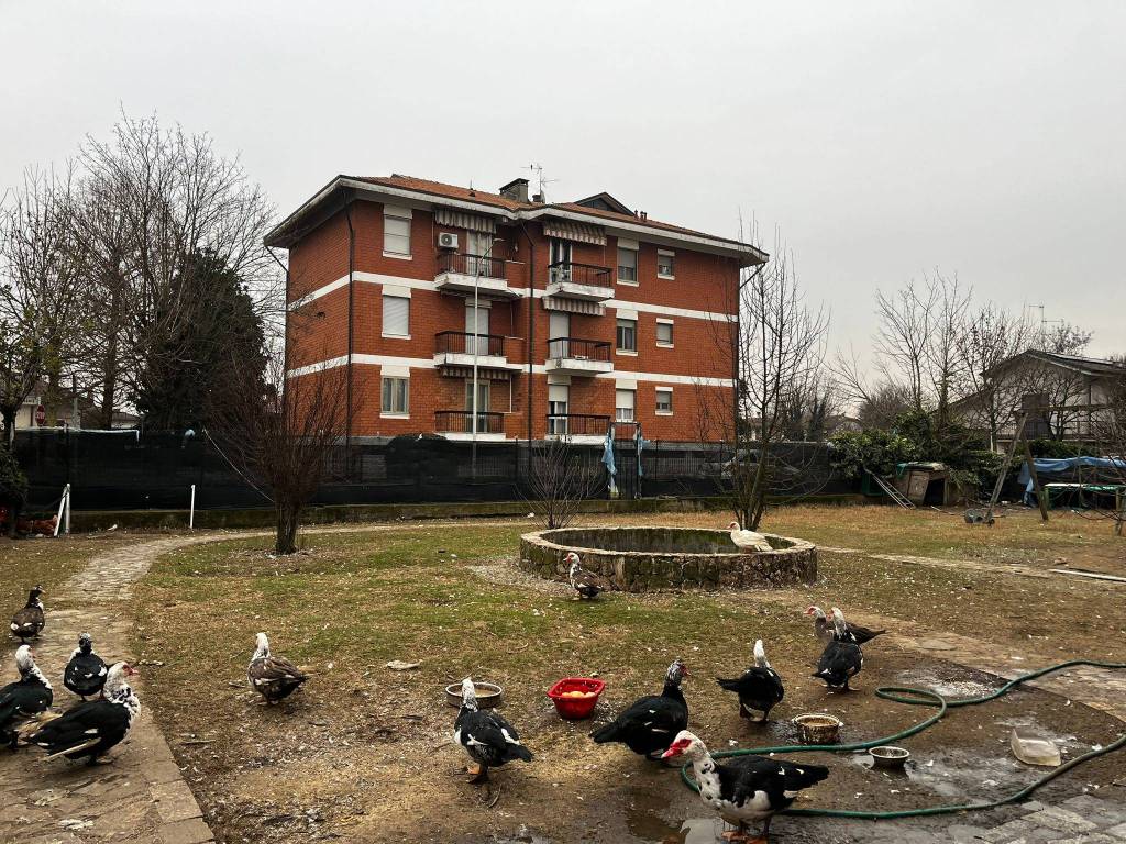 Palazzo / stabile a Orio litta in Via Trieste - Foto 5