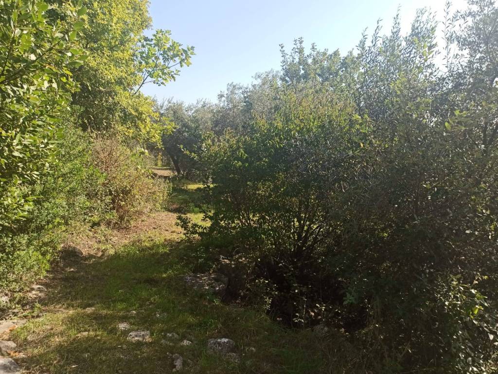 Rustico / casale a Ausonia in Via Cassarinola - Foto 4