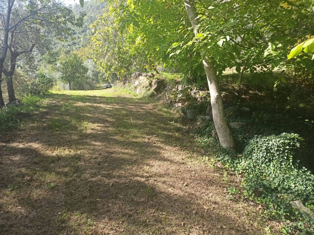 Rustico / casale a Ausonia in Via Cassarinola - Foto 5