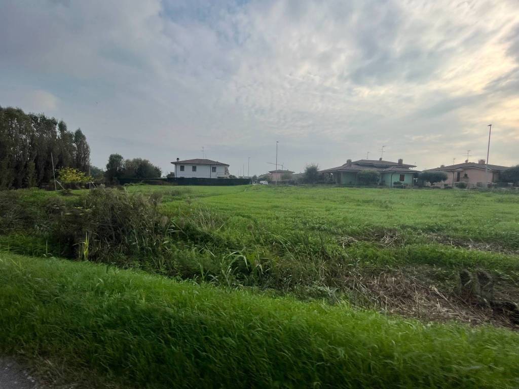 Terreno a Nogara in Via degli Scavi - Foto 2