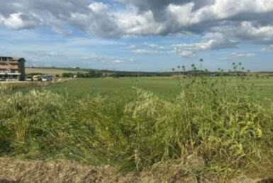 Terreno a Chioggia - Foto 4
