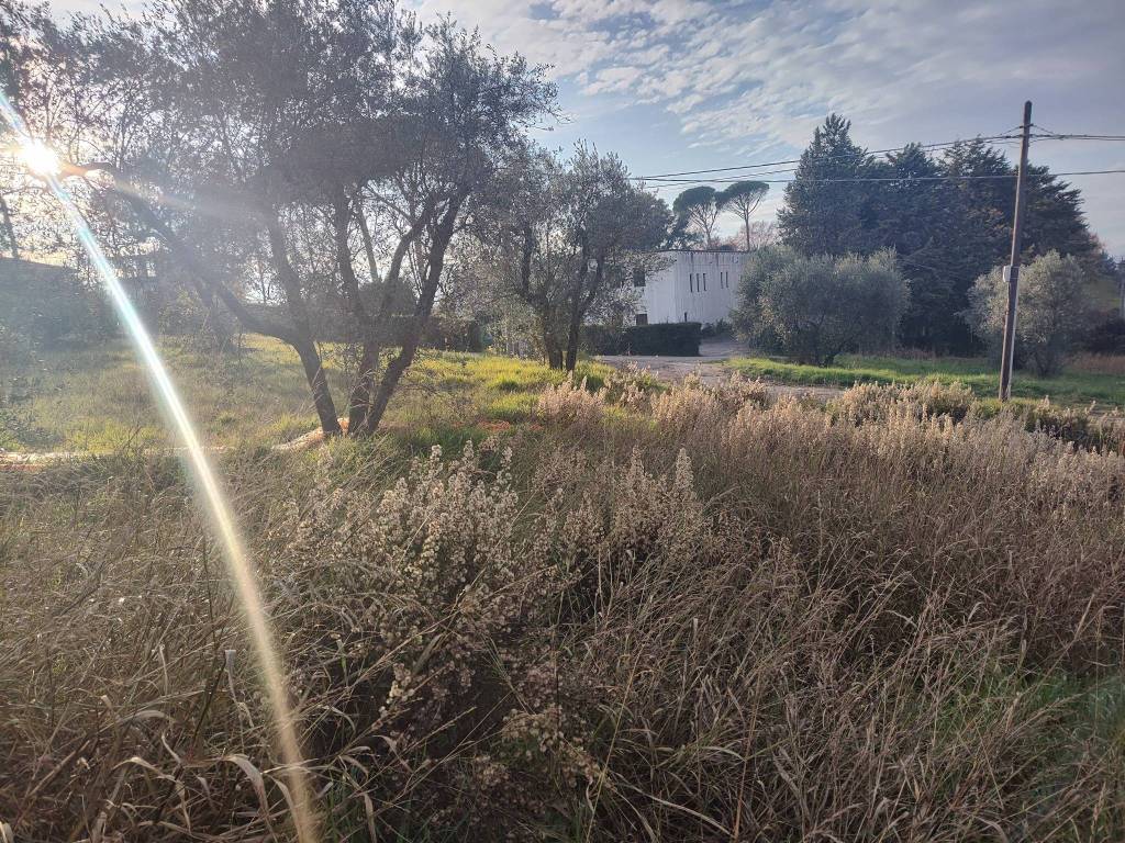 Terreno a Poggio mirteto in Via Fonte Cupido - Foto 3