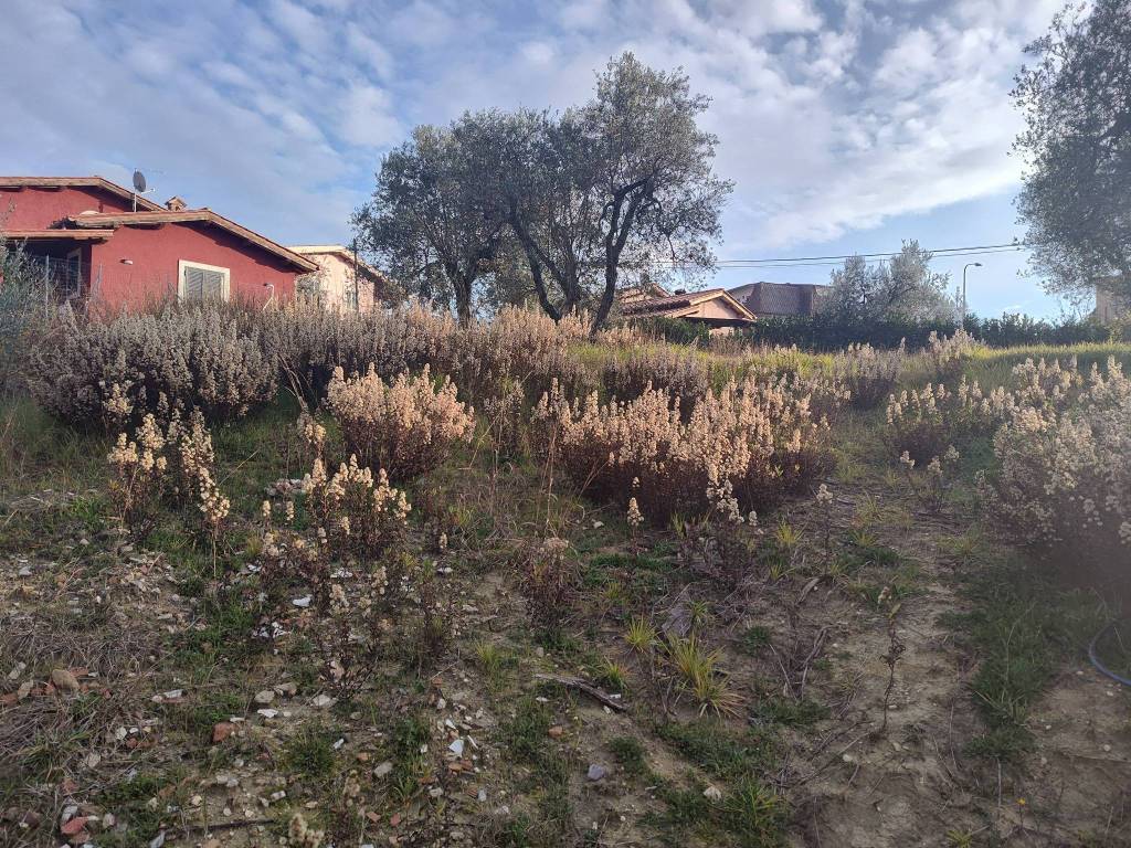 Terreno a Poggio mirteto in Via Fonte Cupido - Foto 5