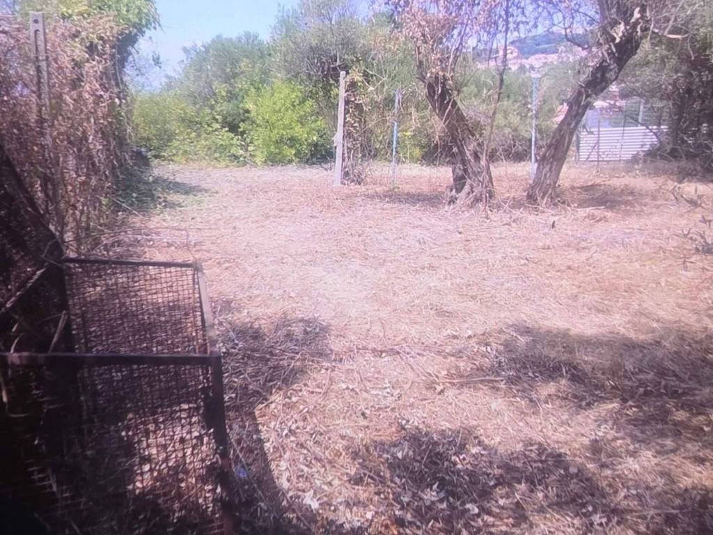 Terreno a Albano laziale in Via Abetonia - Foto 3