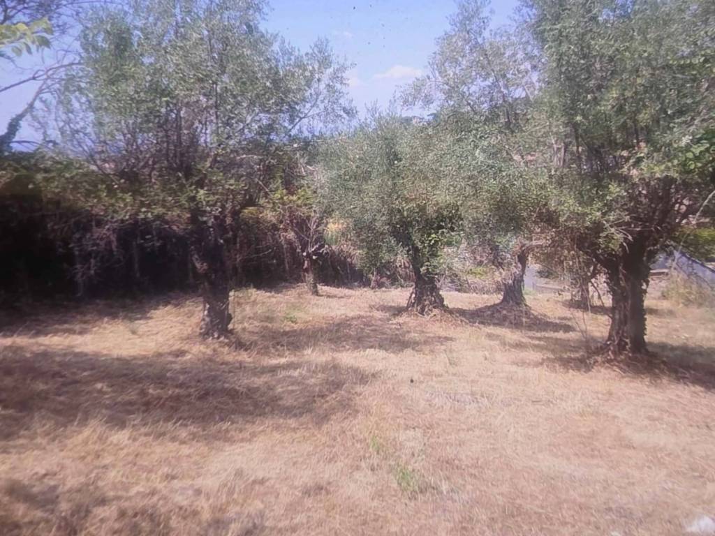 Terreno a Albano laziale in Via Abetonia - Foto 4