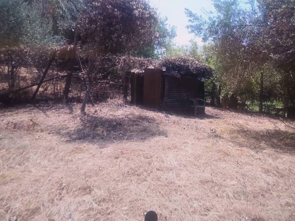 Terreno a Albano laziale in Via Abetonia - Foto 5