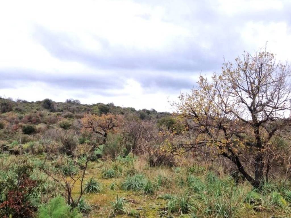 Terreno a Belpasso in Via Nicolosi - Foto 2