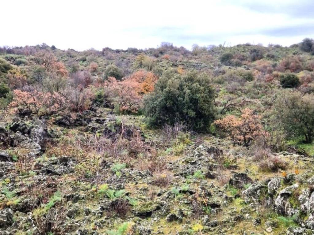 Terreno a Belpasso in Via Nicolosi - Foto 4