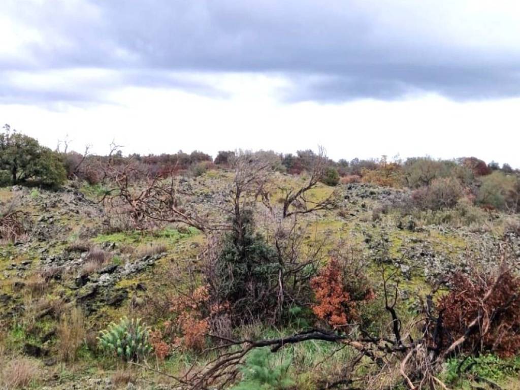 Terreno a Belpasso in Via Nicolosi - Foto 5