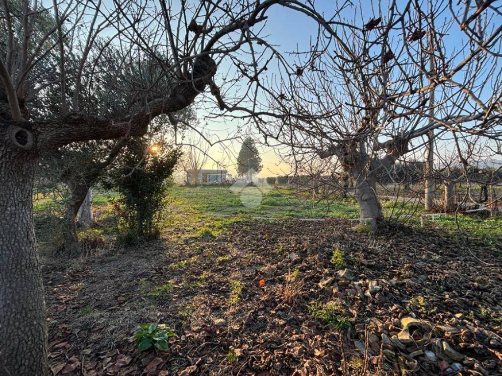 Casa indipendente a Notaresco in Contrada Silvetta, 22 - Foto 4
