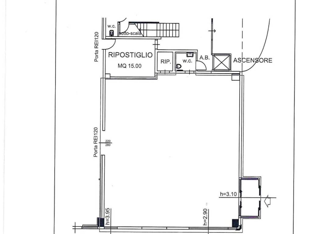 immagine di copertina