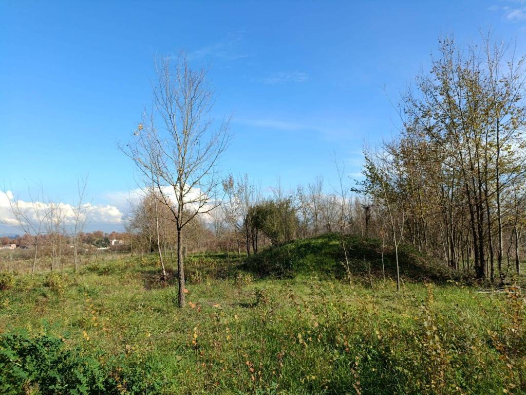 Rustico / casale a Castro dei volsci in Contrada Barbugliano - Foto 4