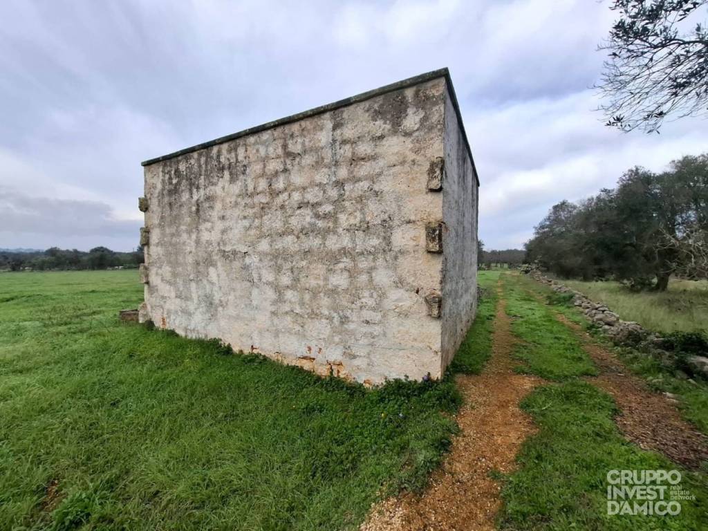 Rustico / casale a Ostuni in Contrada Polinisso - Foto 2