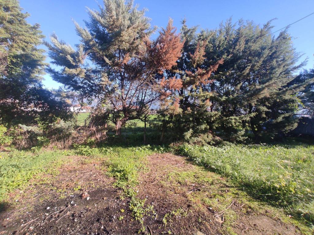 Villa a Alife in SP330 - Foto 2