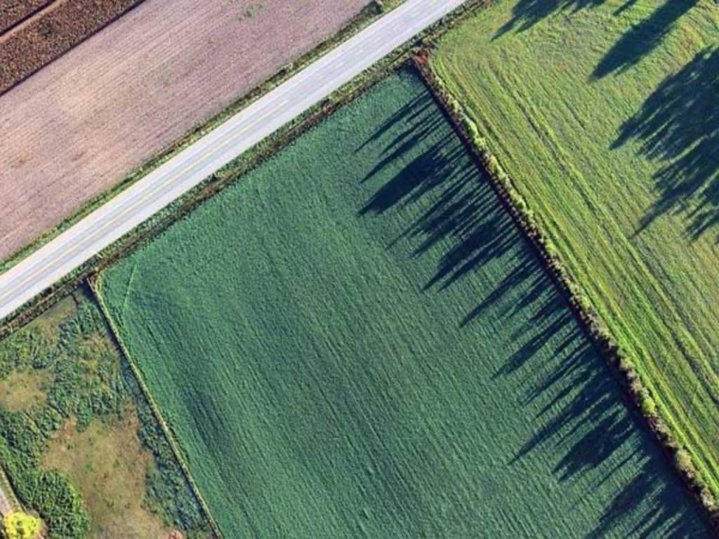 Terreno a Anagni in Strada Provinciale 12 - Foto 2
