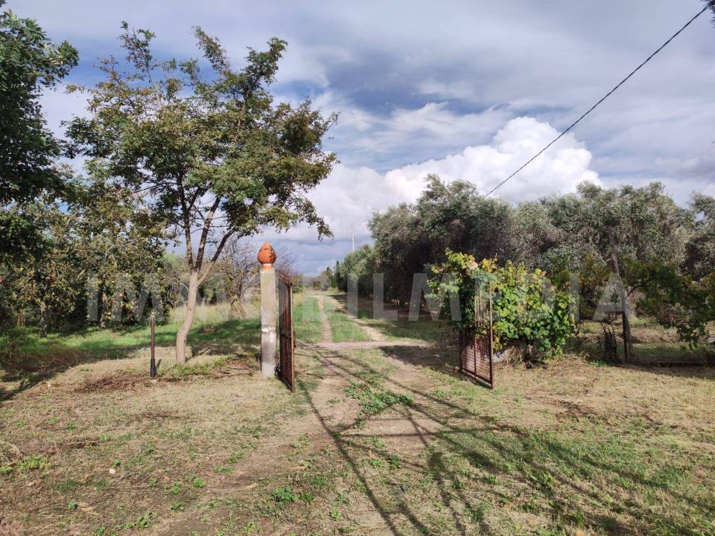 Rustico / casale a Tarquinia in Località Olivastro - Foto 2