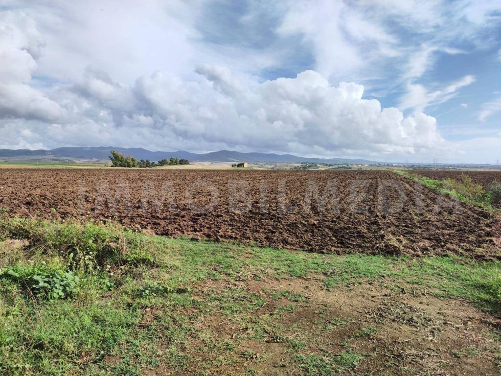 Rustico / casale a Tarquinia in Località Olivastro - Foto 4