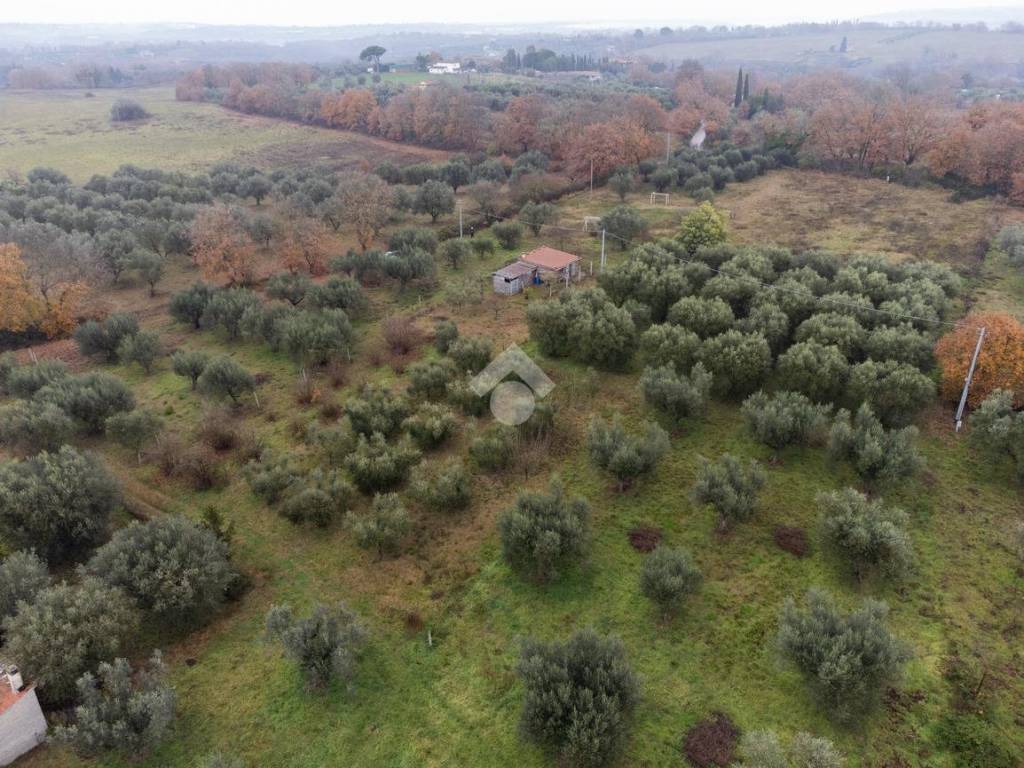 Rustico / casale a Vitorchiano in Strada dei galli - Foto 5