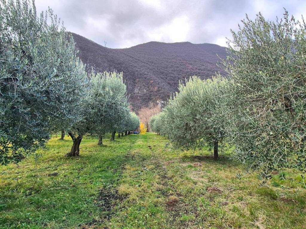 Terreno a Pove del grappa in Via Rea - Foto 2