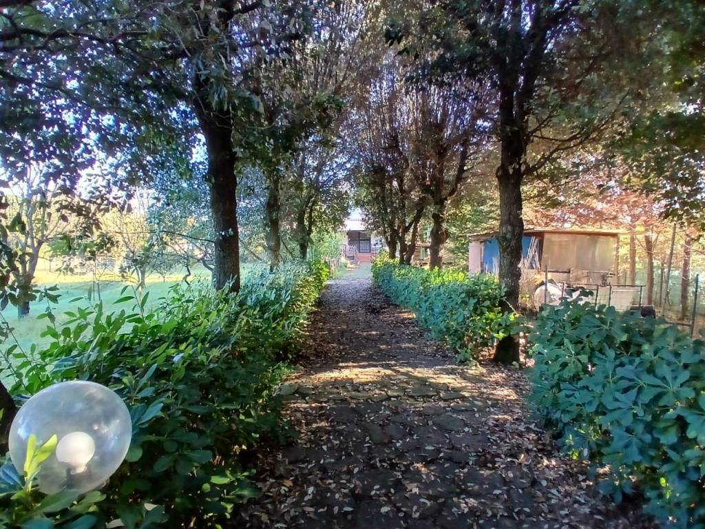 Terreno a Collesalvetti in Via delle Sorgenti - Foto 3