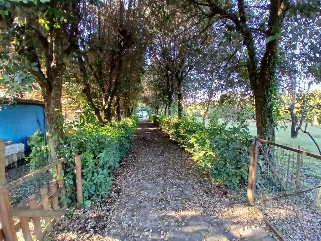 Terreno a Collesalvetti in Via delle Sorgenti - Foto 4