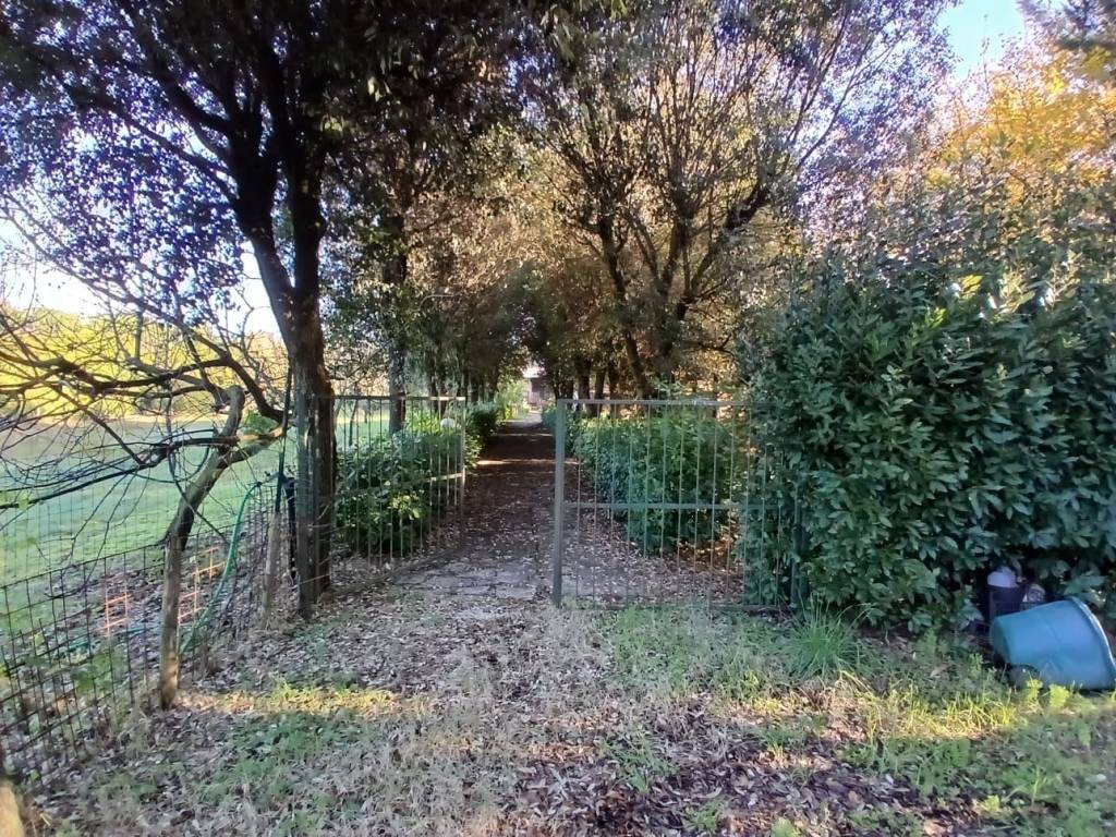 Terreno a Collesalvetti in Via delle Sorgenti - Foto 5