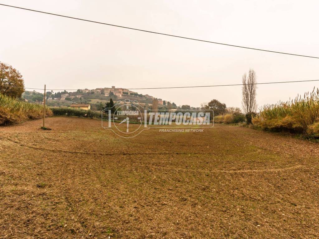 Terreno a Civitanova marche in Contrada Mornano - Foto 3