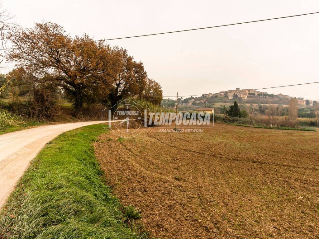 Terreno a Civitanova marche in Contrada Mornano - Foto 5