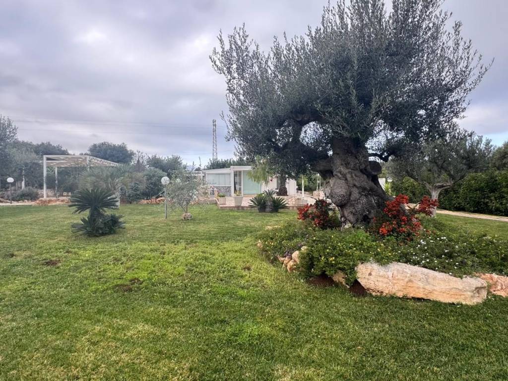 Villa a Monopoli in Strada Mater Domini - Foto 5