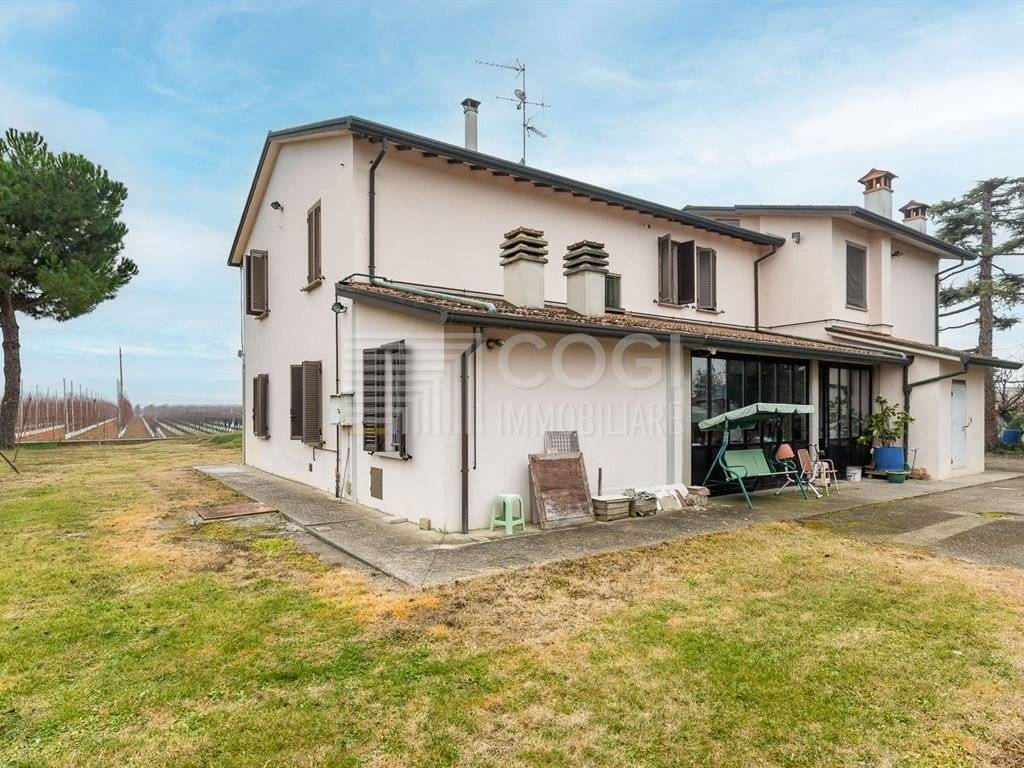 Casa indipendente a Cotignola in Via Fabretti, 38 - Foto 3