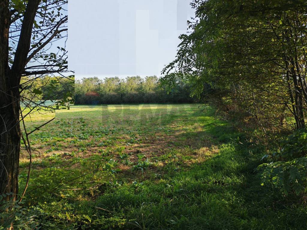 Terreno a Busto arsizio in VIA DELLA PIANA, 1 - Foto 3