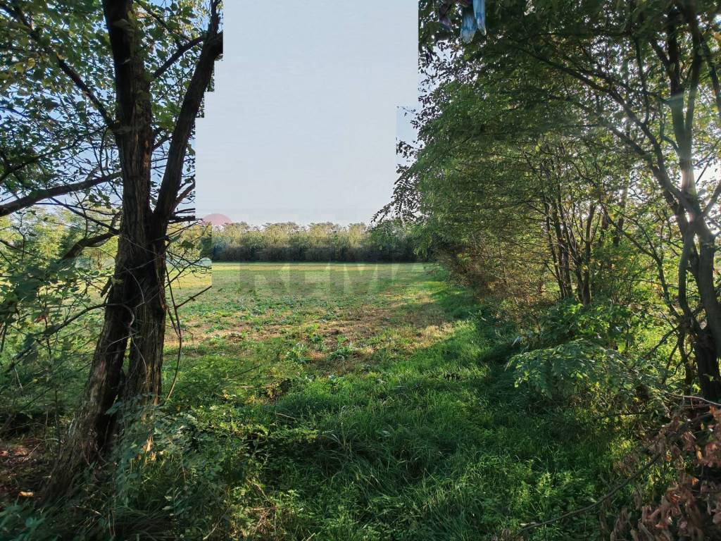 Terreno a Busto arsizio in VIA DELLA PIANA, 1 - Foto 4