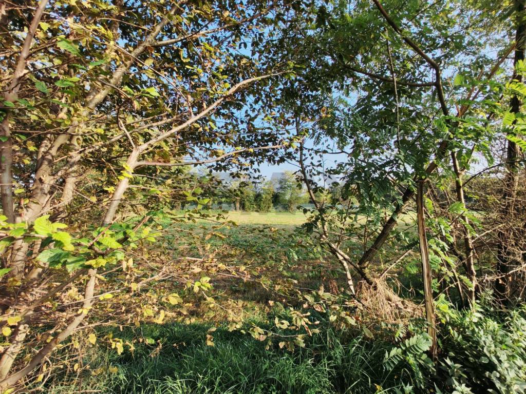 Terreno a Busto arsizio in VIA DELLA PIANA, 1 - Foto 5