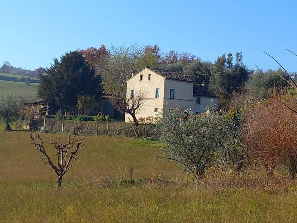 Casa indipendente a Servigliano in Contrada san Filippo - Foto 4