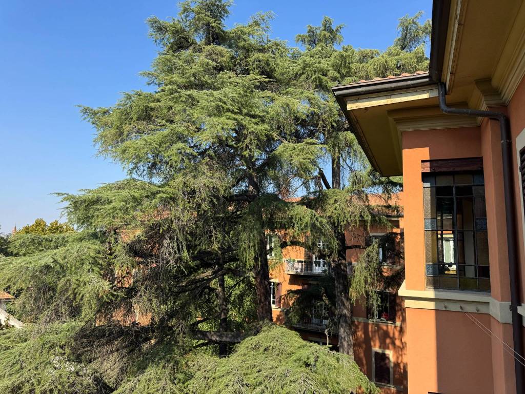 Appartamento a Bologna in Via Castiglione - Foto 4