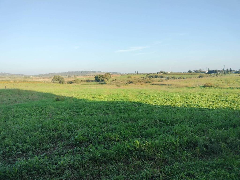 Rustico / casale a Capalbio - Foto 3