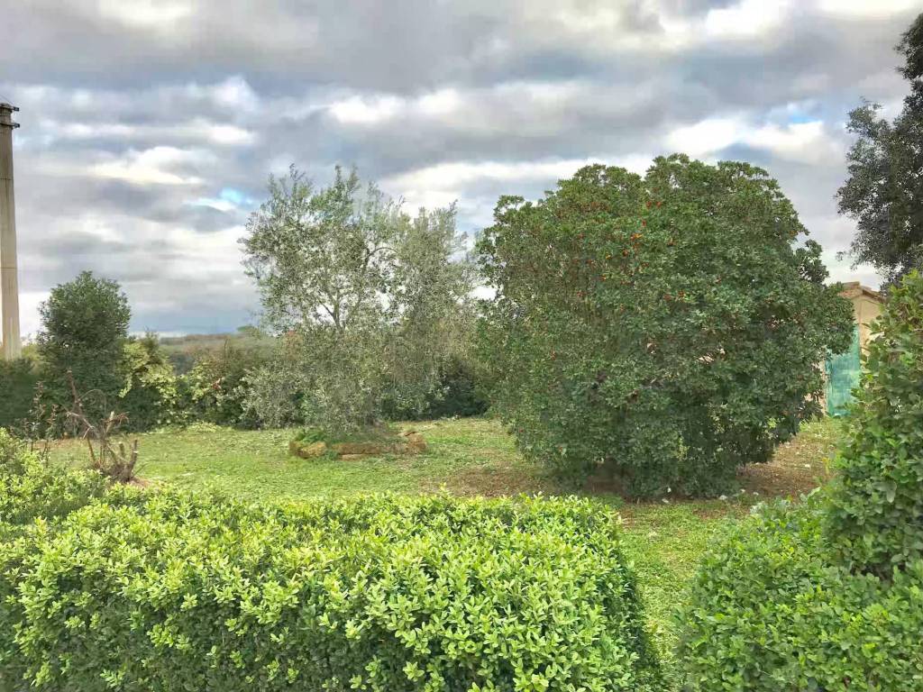 Rustico / casale a Pitigliano in Via di Sovana - Foto 4