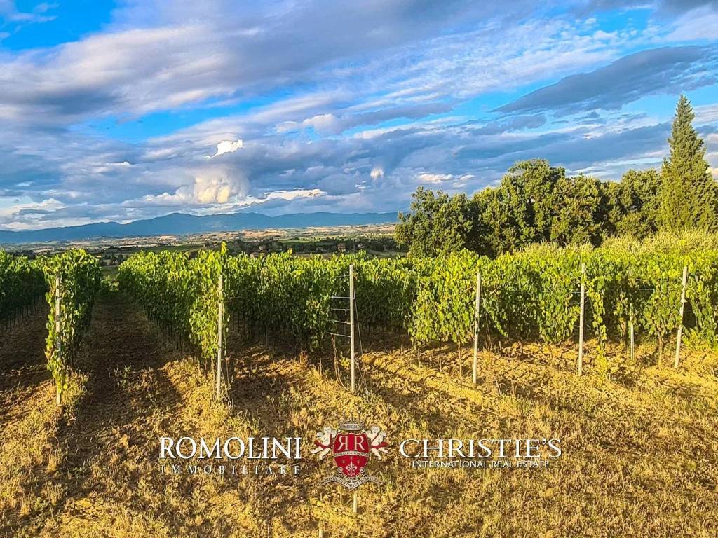 Villa a Montepulciano - Foto 3