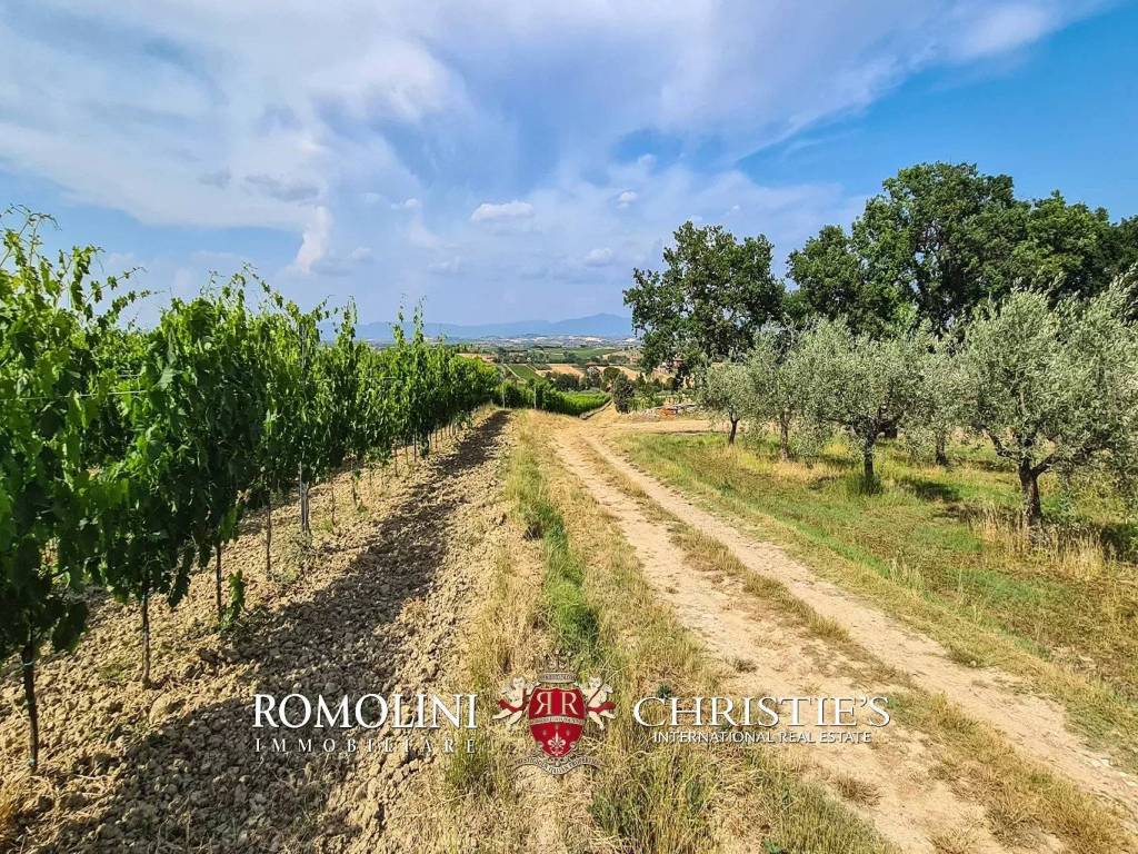 Villa a Montepulciano - Foto 4