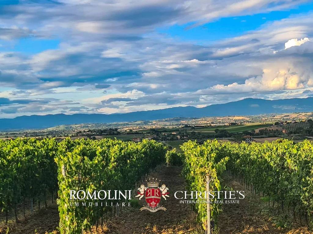 Villa a Montepulciano - Foto 5