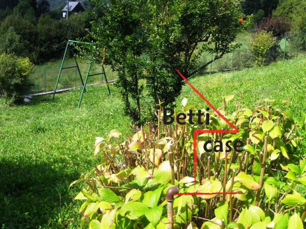 Casa indipendente a Roncobello in Via Foppa Cava, 9 - Foto 4