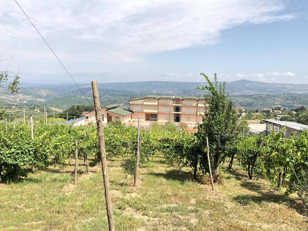 Casa indipendente a Montemarano in beneficio - Foto 3