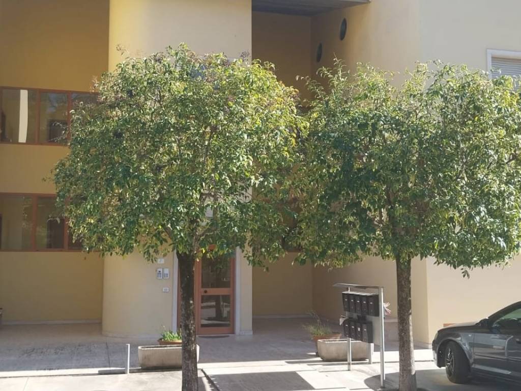 Appartamento a Spinetoli in Via degli Ulivi - Foto 2